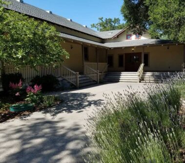 Sun filled courtyard with lavender in foreground, porch in the shade in the back ground
